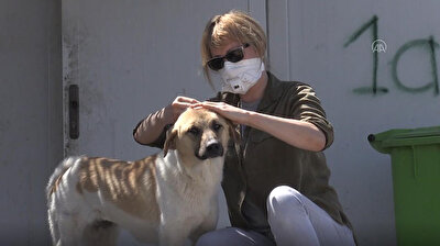 Coronavirus (COVID-19) pandemic hits the animal shelter in Erbil