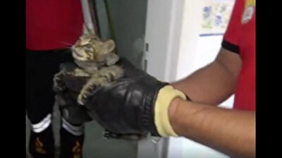 Turkish firefighters rescue kitten stuck in ventilation for three days