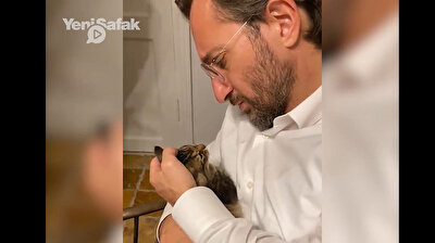 Turkish official spends quality time, talks with his adorable kitty on World Animal Day