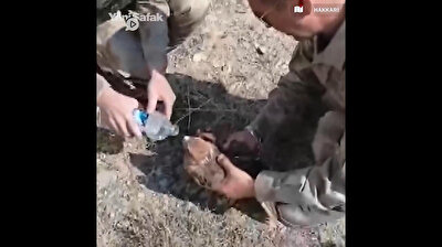 Kind Turkish troops rescue wounded eagle, bottle-feed bird water