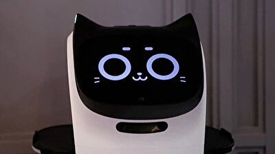 A cat-like robot serves in a Russian cafe