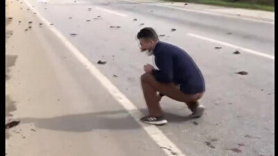 Man pulls over on highway to save wounded starlings in Turkey