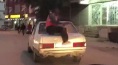 Roadrunner travels on car boot in Turkey's Hatay