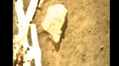 China completes lunar sample collection ahead of schedule