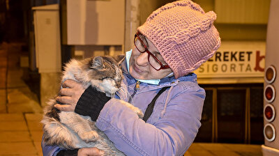 Turkish woman cares for stray animals for 20 years