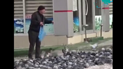Turkish man feeds pigeons every day despite harsh winter conditions
