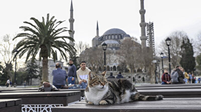 Tourists flock to Istanbul’s historic Sultanahmet neighborhood during weekend curfew