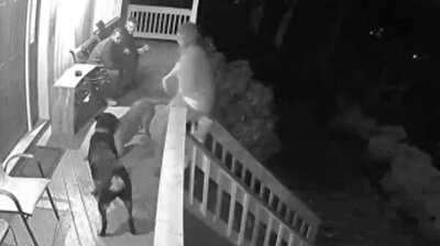 Dog pushes unlucky woman down the stairs of her front porch