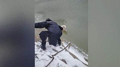 Benevolent Chinese men form human chain to rescue dog stuck in frozen lake