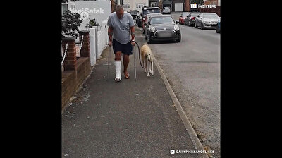 Loving dog imitates owner on crutches in heartbreaking video