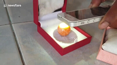 Poor Thai fisherman finds $250K rare orange pearl after dreaming of old man