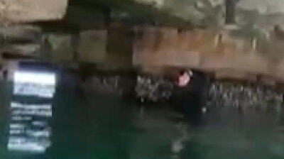 Turkish police divers save cat from drowning in breathtaking operation