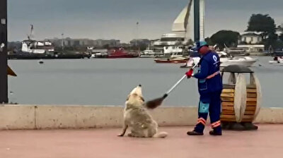 عاملا تنظيف في بلدية تركية يمنحان كلبًا لحظات ممتعة