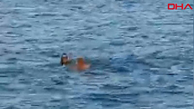 شاهد: متهم يسبح 2 كيلو متر في البحر هربًا من الشرطة في تركيا