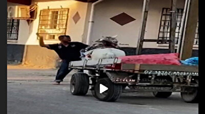 مشهد غير إنساني.. بائع متجول يتعامل بعنف مع حصان يجرّ عربته في الشارع