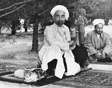 AKSÂ’DA BİRKAÇ KURŞUN