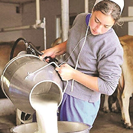 Süt üreticisi referans fiyatı direkt istiyor