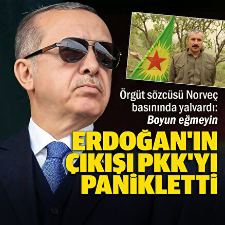 PKK sözcüsü Zagros Hiwa Cumhurbaşkanı Erdoğanın NATO çıkışının ardından Norveç basınında yalvardı