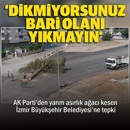AK Partiden yarım asırlık ağacı kesen İzmir Büyükşehir Belediyesine tepki: Dikmiyorsunuz bari olanı yıkmayın
