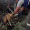 Kafası şişeye sıkışan köpeği elektrik arıza ekipleri kurtardı