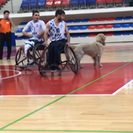 Karabükte sahaya giren köpek nedeniyle maç durdu