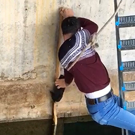 Yavru kediyi suya düşmekten son anda kurtardı