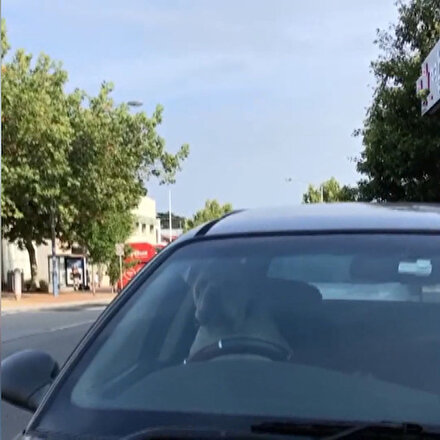 Arabada sıkılan köpek sahibini korna ile çağırdı