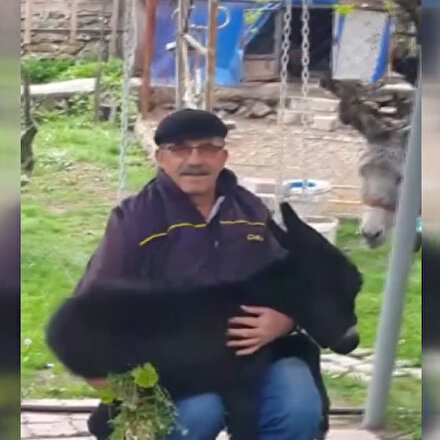 Yaşlı vatandaş Kara kızan adını verdiği sıpa ile salıncak keyfi yaptı