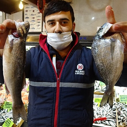 Vatandaş ucuz balık yesin diye fiyatları yarı yarıya düşürdü
