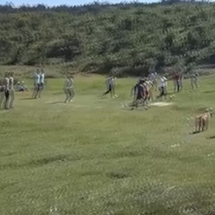 Kısıtlamaya rağmen ormanlık alanda mangal yakıp futbol oynadılar