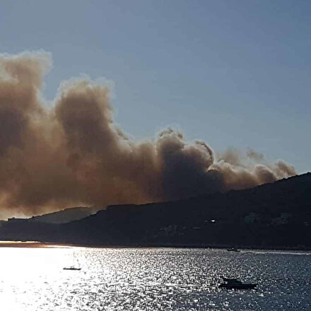Heybeliadada orman yangını: Üç kişi gözaltına alındı