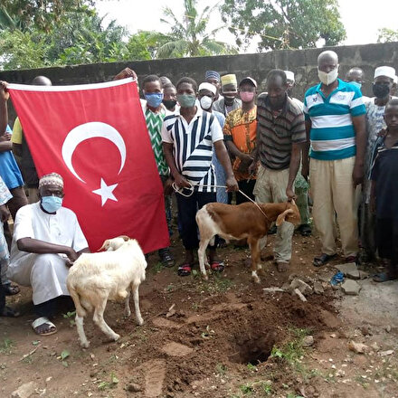 Togoda Ayasofyanın ibadete açılması kararıyla kurban kesildi