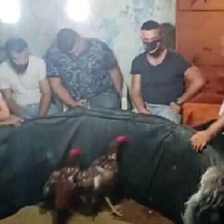 Nazillide horoz dövüştüren 19 kişiye toplam 63 bin 340 lira para cezası