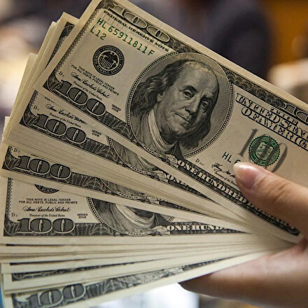 Dolar/TL, 7,30 seviyesinden işlem görüyor