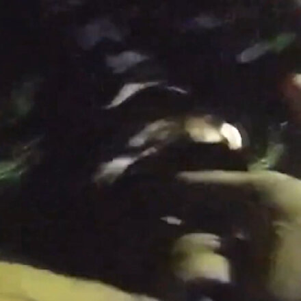 ABDde polis, teslim olan şüpheliyi köpeğe ısırttı