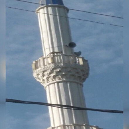Manisada tilki cami minaresine çıktı: Kurtarmaya gelen vatandaşlardan korkup onlarca metreden aşağı atladı