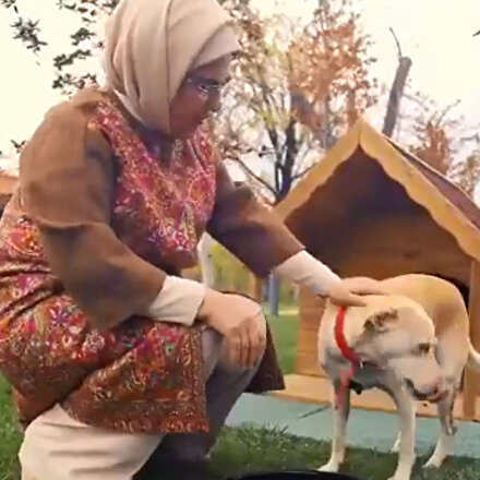 Emine Erdoğanın sahiplendiği engelli köpek Leblebi yeni yerini çok sevdi