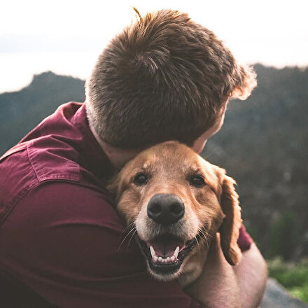 DNA araştırmaları insan ile köpek arasındaki dostluğunu kanıtladı