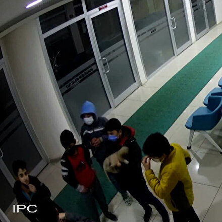 Sivasta küçük çocuklardan alkışlanacak hareket: Yaralı köpek için verdikleri mücadele kamerada