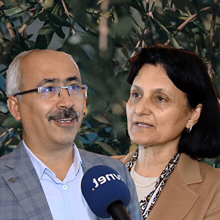 Zeytin yaprağındaki mucize: Koronavirüsle savaşıyor