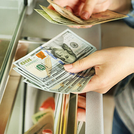 Dolar kaç lira oldu?