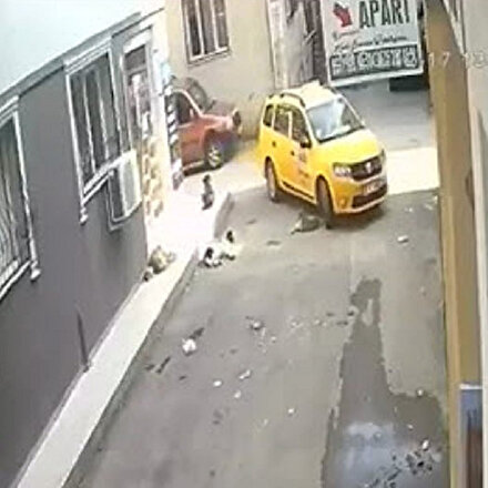 Taksinin üzerinden geçtiği yavru köpeğin çığlıkları yürek sızlattı