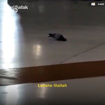 Kabede şaşkınlığa neden olan güvercin: Subhanallah o güvercin ne yapıyor öyle?