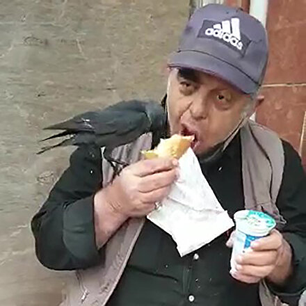 Döner yiyen adam koluna konan kargayla yemeğini paylaştı