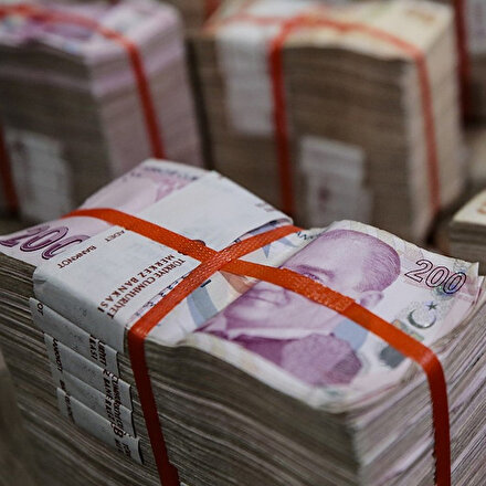 Merkez Bankasının rezervleri arttı