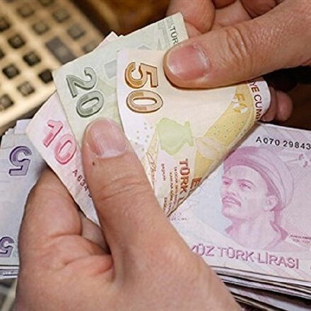 İngiliz Capital Economics: Bu yılın en çok değerlenen para birimi Türk Lirası