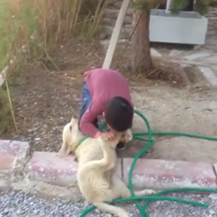 Küçük Ömer ve yavru köpeğin hortum kavgası gülme krizine soktu