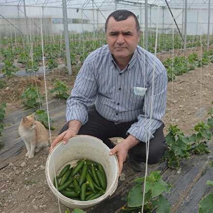Öğretmenliği bıraktı çiftlik kurdu: 14 yıldır besiciliğin yanı sıra 3 yıldır da örtü altı tarımı yapıyor