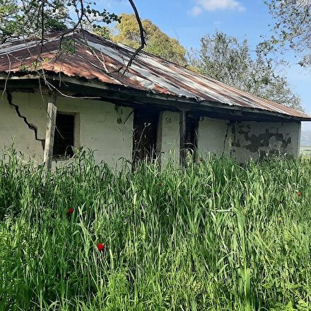 Tek katlı köy evinden Aile ve Sosyal Hizmetler Bakanlığına: Derya Yanıkın ataması memleketinde sevinçle karşılandı