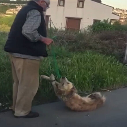 Vicdansız adam silahıyla öldürdüğü köpeğin boğazına ip bağlayarak sürükledi